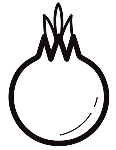 Simple Onion Coloring Page